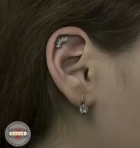Фотография Estetica 4